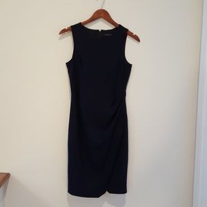 Dark Blue Banana Republic Dress